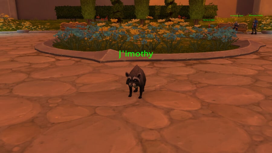 How to Get the J’imothy Pet in WoW Midnight